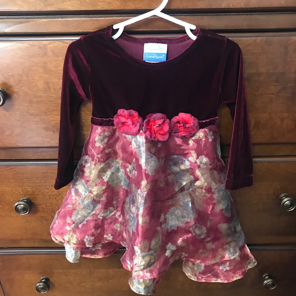 Brooke Lindsay ⚜️ Burgundy Red Velvet Floral Dress
